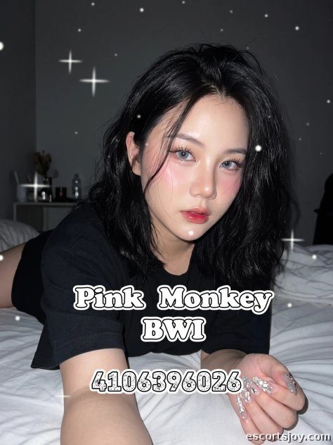 Pink Monkey Baltimore 🍑 - 💋 Pink Monkey • 4 Asian Sluts Daily in Linthicum Heights 🔥
